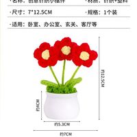 盛世泰堡永生花圣诞礼物，手工毛线花，小摆件送女朋友！