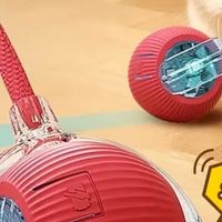 欢宠网自动逗猫棒：把“粘人精”变成自嗨小猎手