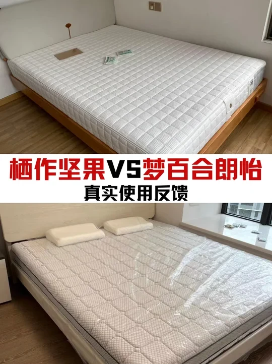 栖作坚果和梦百合朗怡🛏️怎么选？