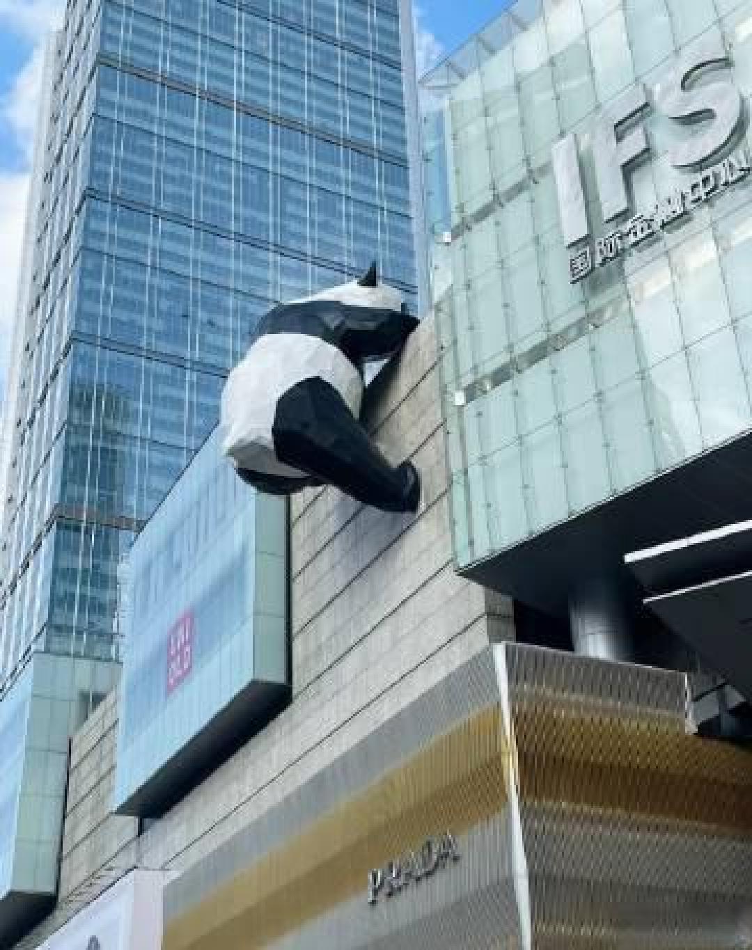 跟王栎鑫沉浸式过一天,解锁成都人的地道巴适生活