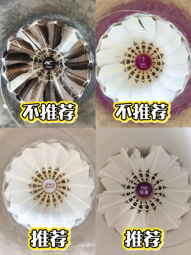 四款羽毛球选择与推荐👀。第一个是李宁凯胜KDB03，黑白的毛片，飞行真的一言难尽，主包打了两拍真的打不下去，耐打应该还可以。快60的价位，不如加一些买别的。
第二个是南极风紫金七号，77速飞的实在太快