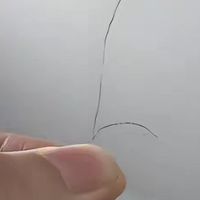 为什么私密处的毛发，要进化的扁扁弯弯？究竟该不该刮干净？