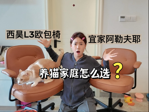一期普通人都能看懂的网红椅大测评，不聊参数只讲感受！