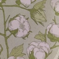 敏感肌福音！倍舒特卫生巾，纯棉超舒适✨