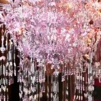 指尖生花：我沉迷的拼酷粉黛二十二凤冠