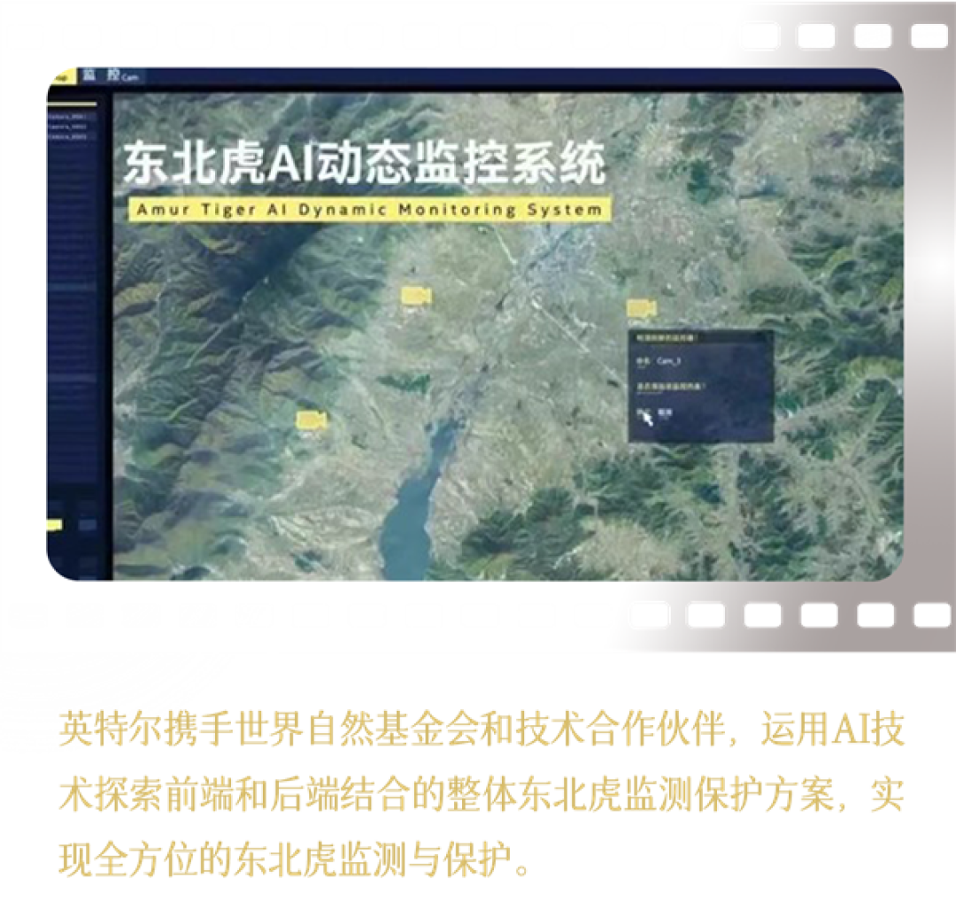 Intel中国整整40年了!揭开你不熟悉的另一面