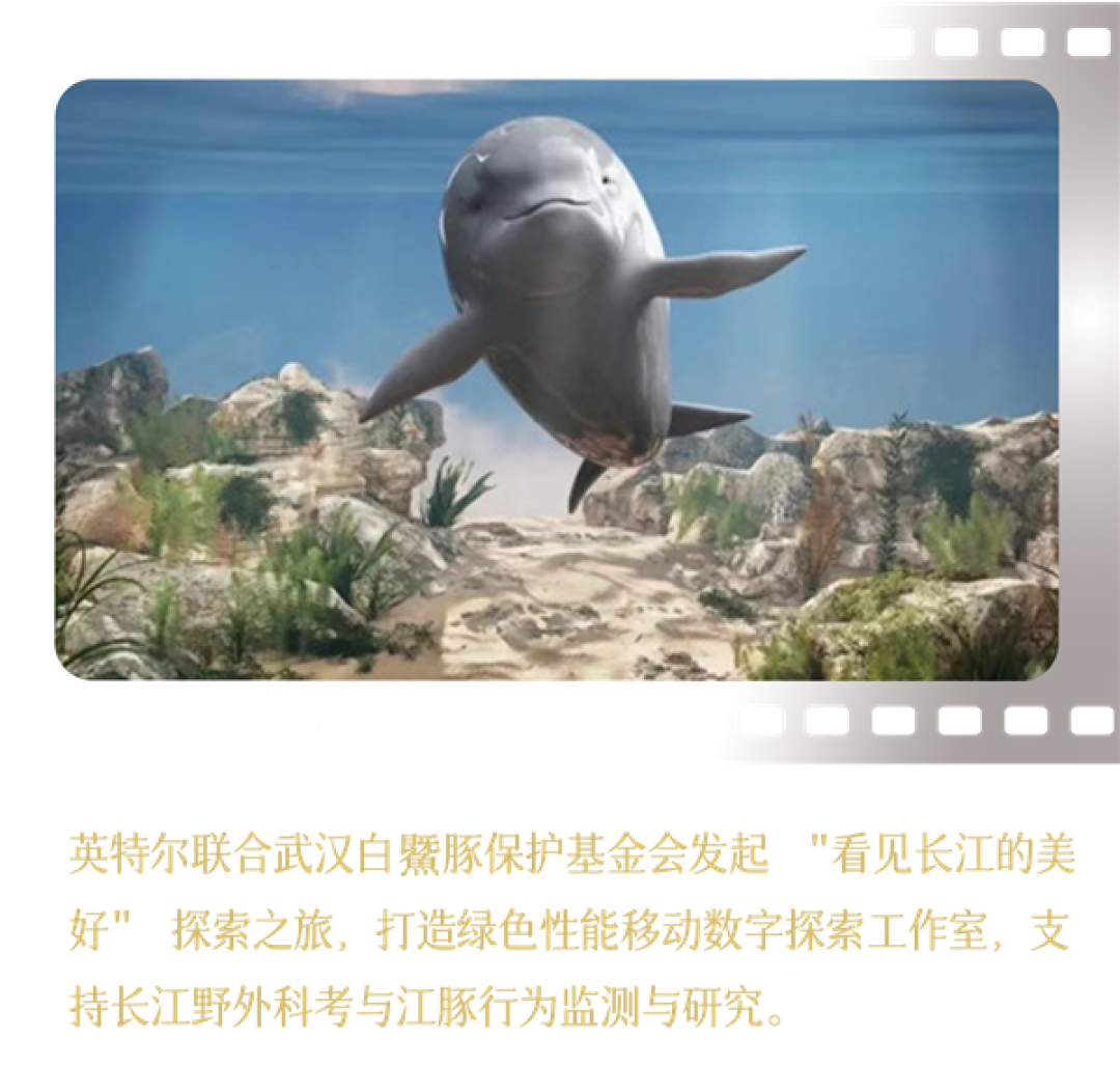 Intel中国整整40年了!揭开你不熟悉的另一面