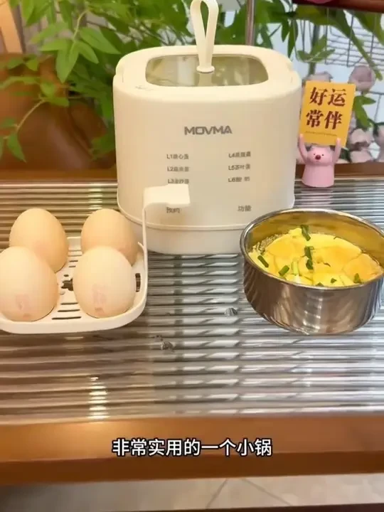 MOVMA多功能煮蛋器家用宿舍小型智能定时自动断电蒸蛋器煮蛋神器#煮蛋器 #多功能煮蛋器 #煮蛋神器 #煮蛋器推荐 #蒸鸡蛋羹