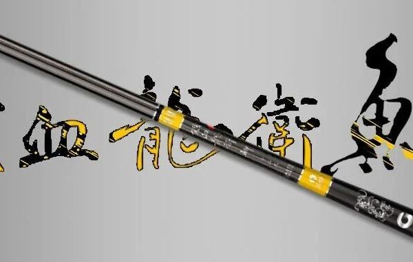 双十二必入|可鲫可鲤，潜力无限鲫鱼竿