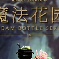 手作治愈时刻：哈利魔法花园DIY小屋圆梦瓶