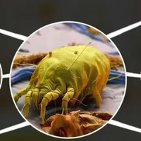 除螨仪哪个牌子质量好，推荐除螨仪品牌排行榜前十名！