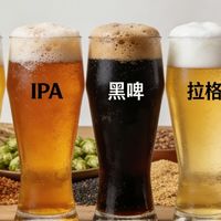 一杯啤酒里的风味宇宙：常见啤酒种类与口感指南