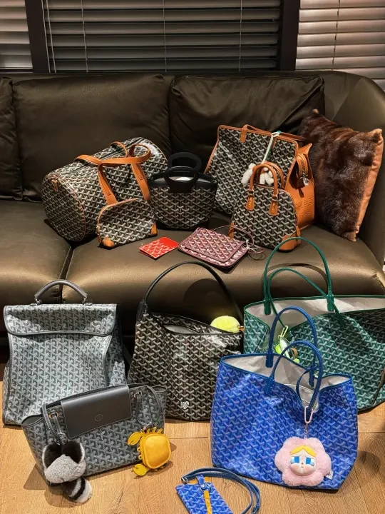 Goyard包包合集｜盘点我的热门/入门款狗牙包