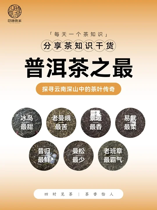 茶知识｜普洱茶之最！找到自己的本命茶没？