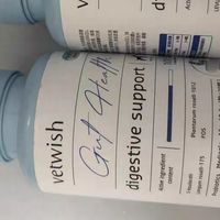 养宠肠胃维稳神器！VetWish布拉迪酵母益生菌实测，软便拉稀克星