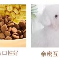 狗狗零食搭配之羊奶酪干