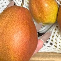 新疆香酥啤梨，清甜多汁好看也好吃