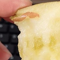 陕西洛川红富士苹果，香甜多汁口感真不错