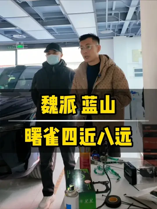 蓝山嘎嘎亮的案例！！！！ #魏派蓝山 #汽车大灯 #北京小郝车灯