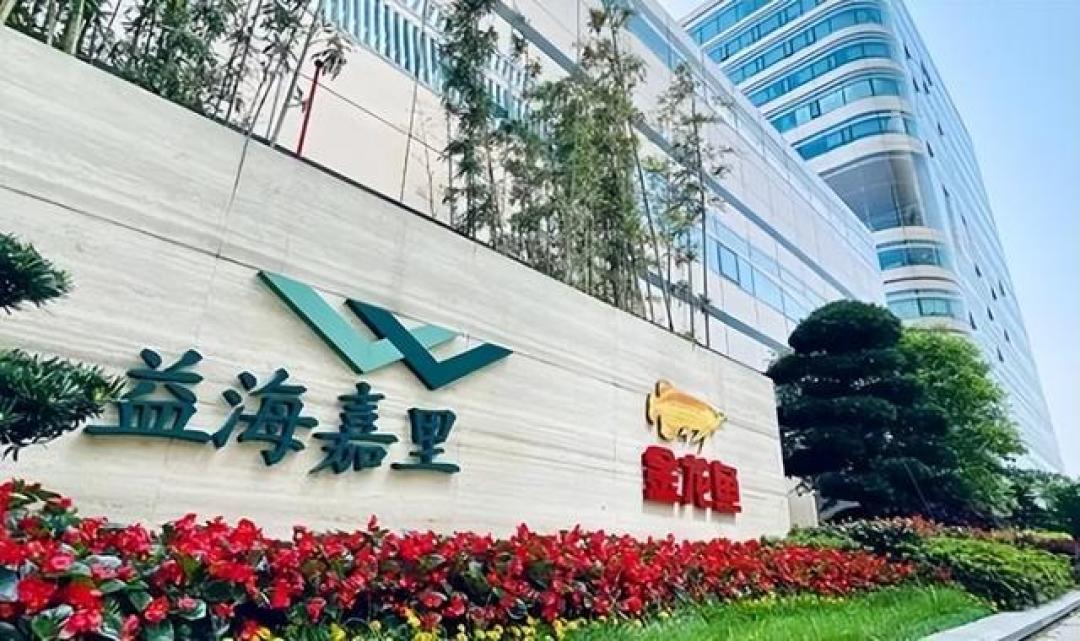 深陷18亿“十年骗局”，金龙鱼喊冤背后是致命的内控失守