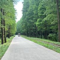 中国好家风永续传家的无形珍宝