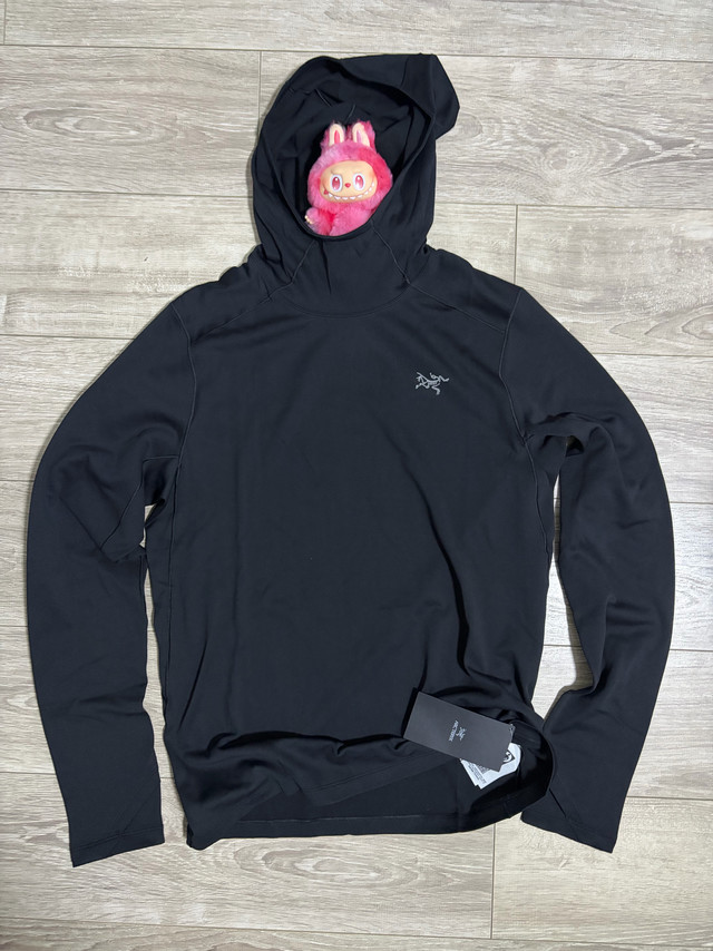 黑五开箱：始祖鸟Cormac Heavyweight连帽衫 展示