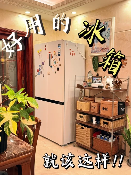 冰箱推荐什么牌子｜日常用着超省心 ✌️