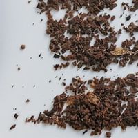 别再瞎磨了！咖啡粉粗细指南