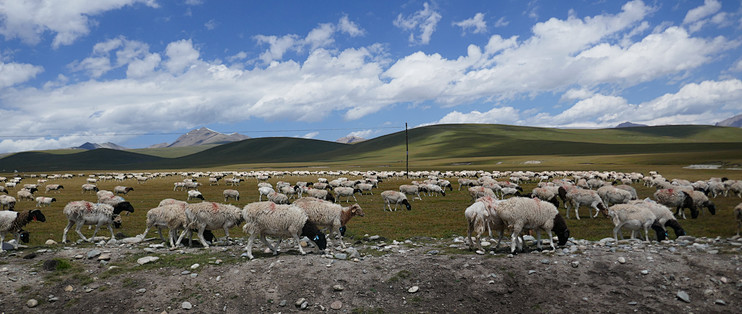 EFI Boot Editor(EFI引导编辑器) 中文绿色版_服务软件_什么值得买