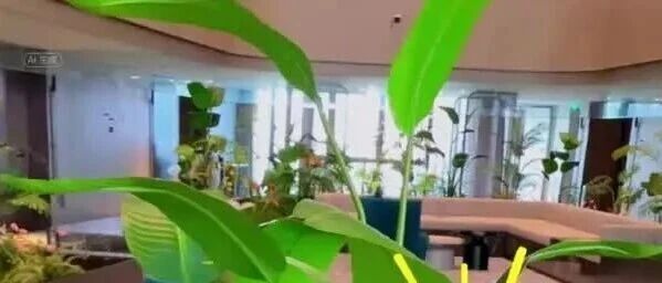 日诺白檀溶水纸｜檀香中的爱马仕