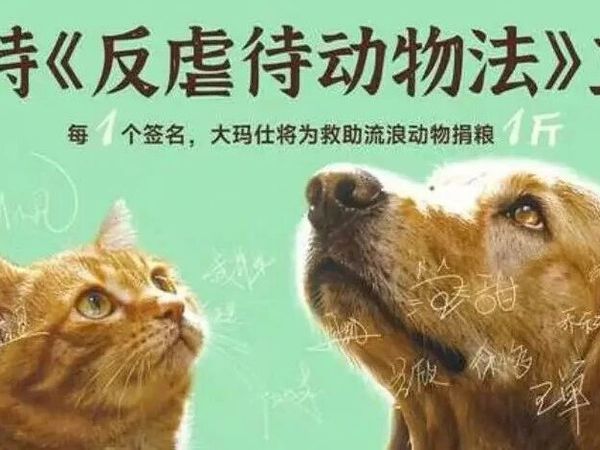 自家小狗吃的狗粮分享