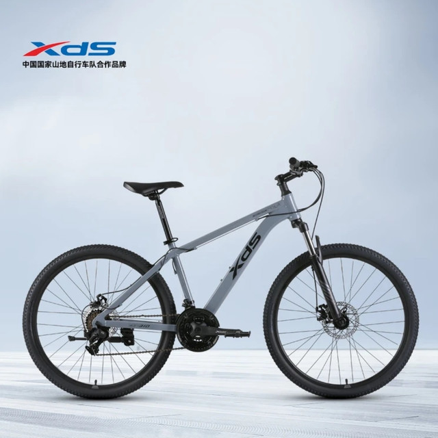 车轮碾过的路，藏着生活的浪漫与清醒