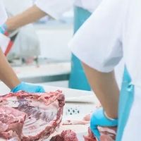新西兰散养羔羊肉卷深度体验