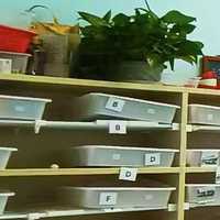 2025深圳感统训练优质机构推荐指南