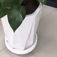 让家里充满生机。赶紧入手，让你的家美出新高度！