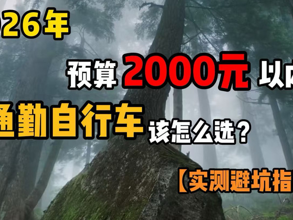 2000 元以内的通勤自行车怎么选，一篇告诉你。
