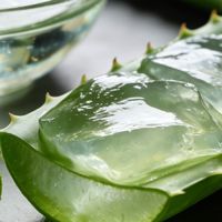 芦荟祛痘：天然温和的肌肤修护力