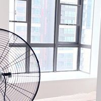 2025年新家除甲醛效果最好的产品和最有效的方法测评，不看后悔！