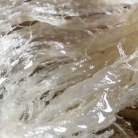 燕窝：藏在时光里的天然滋养