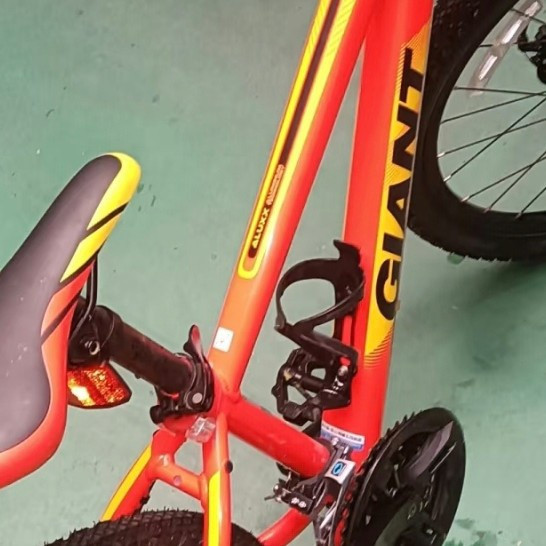 捷安特XTC 24-D2：青少年出行新选择