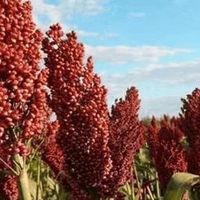 2025双十二白酒囤货指南：10款高性价比好酒闭眼入