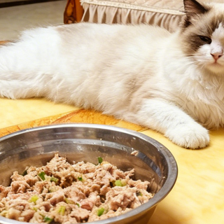 自制猫饭食谱自制狗饭合集,新手到老手都能照做的高评价鲜食菜单