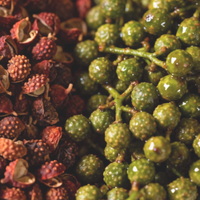 花椒还是藤椒？买前不看这篇，麻味、香味全踩雷！