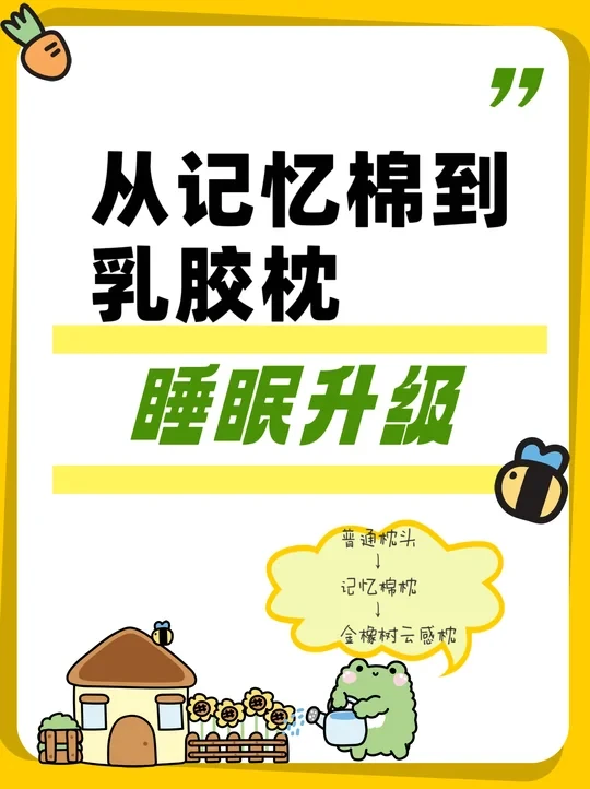 从记忆棉到乳胶枕，我的睡眠升级记