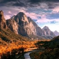 天啊！这个旅行箱太酷了！