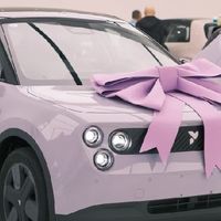 期车购买全攻略：流程、注意事项与风险规避