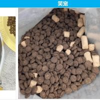 狗粮好坏看什么成分？希喂、笑宠、美滋元狗粮怎么样，值得选吗？