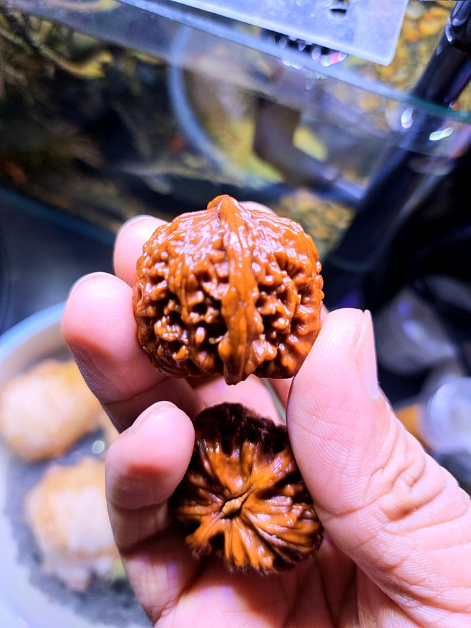 其他饰品