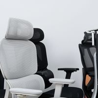 人体工学椅座椅哪个牌子好？口碑最好人体工学椅子品牌排行榜前十