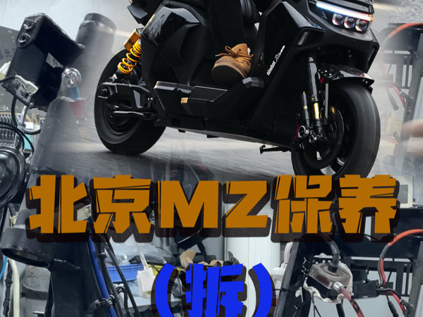 九号（Ninebot）九号电动自行车Mz MIX新国标可上牌真智能电动车【线下
